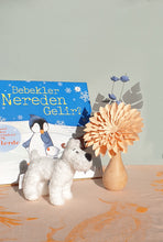 Star - Handmade Paper Flower Bouquet