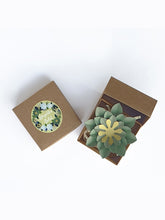 Lemon - Handmade Paper Magnet Gift - Set of 50